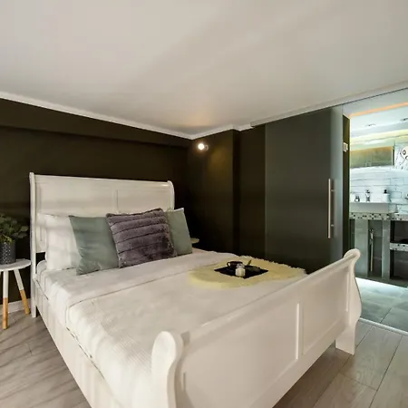 Regina Elisabeta Duplex-style Studios: Cozy Haven In The City Center Bucarest