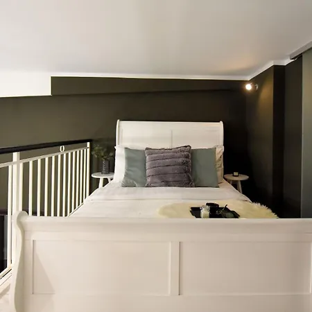 Regina Elisabeta Duplex-style Studios: Cozy Haven In The City Center Appartement