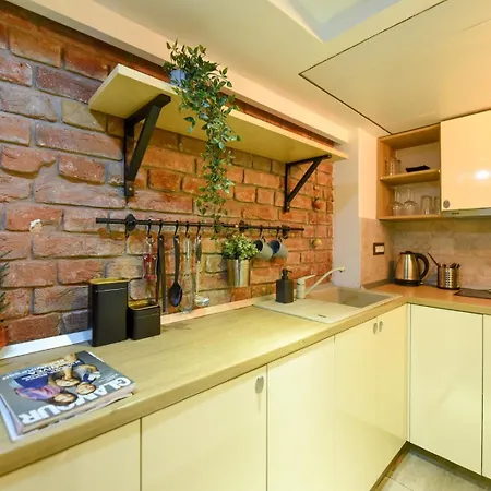 Regina Elisabeta Duplex-style Studios: Cozy Haven In The City Center Apartment Bucharest