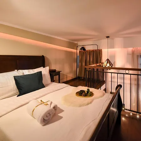 Apartment Regina Elisabeta Duplex-style Studios: Cozy Haven In The City Center *