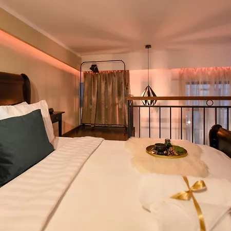 Regina Elisabeta Duplex-style Studios: Cozy Haven In The City Center *