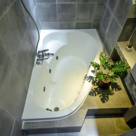 Regina Elisabeta Duplex-style Studios: Cozy Haven In The City Center Apartment *