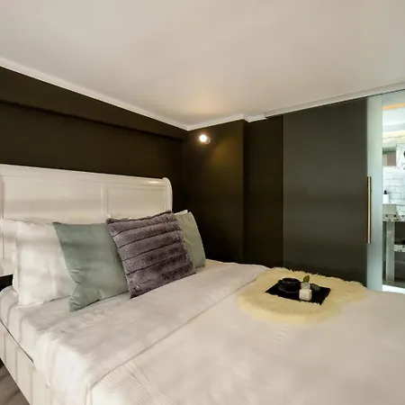 公寓 Regina Elisabeta Duplex-style Studios: Cozy Haven In The Center 布加勒斯特