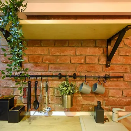 Regina Elisabeta Duplex-style Studios: Cozy Haven In The City Center Apartment Bucharest