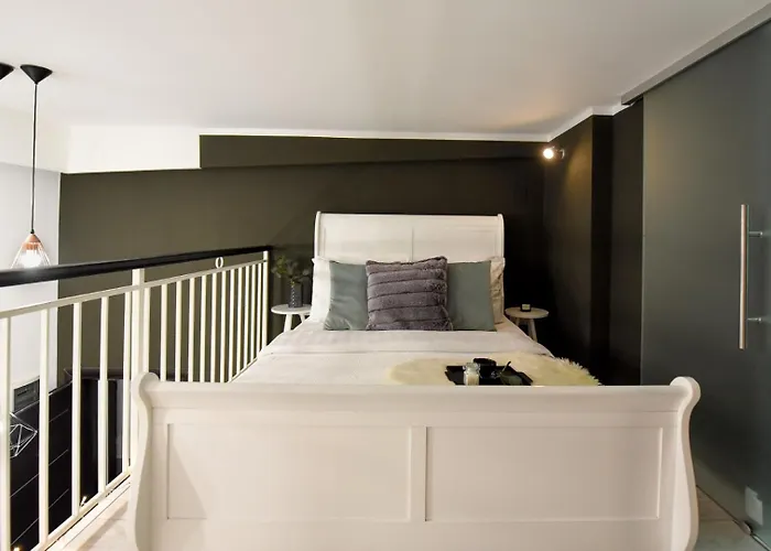 Regina Elisabeta Duplex-style Studios: Cozy Haven In The City Center Apartment
