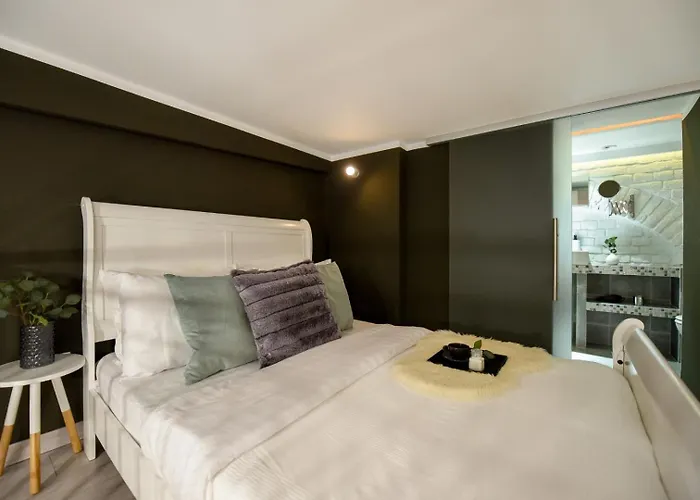 Apartment Regina Elisabeta Duplex-style Studios: Cozy Haven In The City Center Bucharest